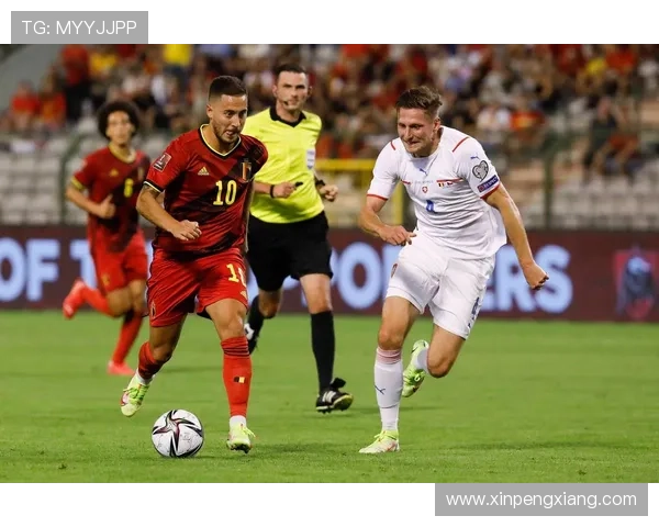 波黑主帅巴巴雷茨：全力以赴迎战意大利